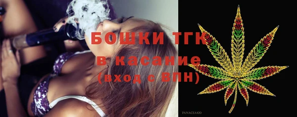 гашик Корсаков