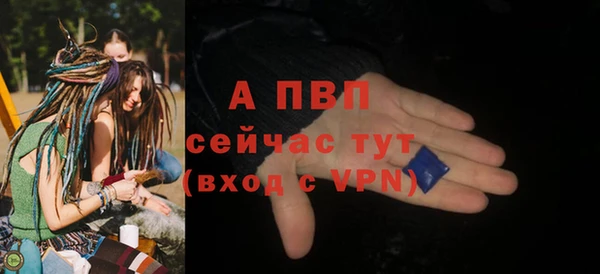 гашик Корсаков