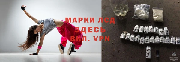 гашик Корсаков