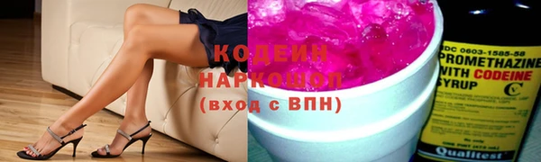 гашик Корсаков