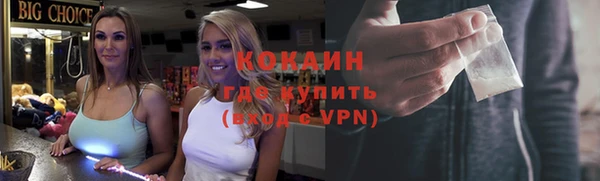 гашик Корсаков
