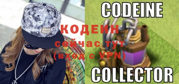 гашик Корсаков