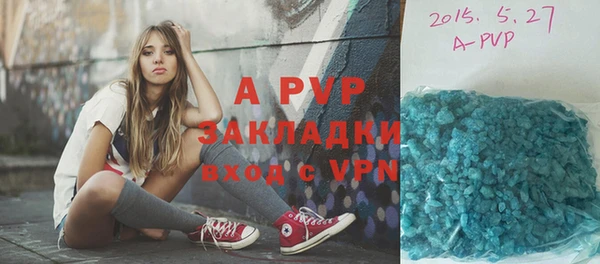 ПСИЛОЦИБИНОВЫЕ ГРИБЫ Краснослободск