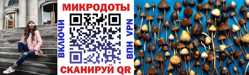 Галлюциногенные грибы GOLDEN TEACHER  Купить  Соль-Илецк 